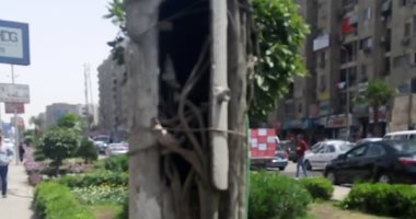قارئ يحذر من كابلات عارية بأعمدة الكهرباء بطريق الأوتوستراد فى مدينة نصر