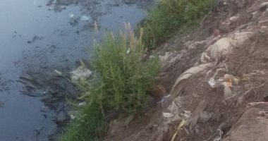 صور.. نقص مياه الرى يهدد ببوار مئات الأفدنة الزراعية بقرية أبو راشد بدمياط