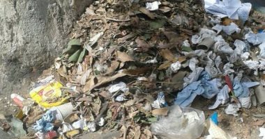 تراكم القمامة بشارع الكورنيش أمام قصر ثقافة أسوان يزعج المواطنين