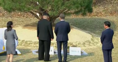 صور.. زعيما الكوريتين يزرعان شجرة سلام عند الحدود