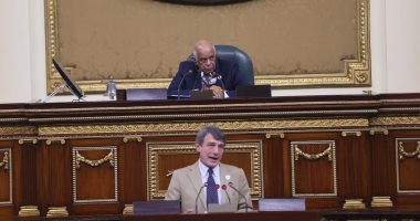ممثل برلمان الجزائر:  الإرهاب يهدد الأوطان وكيانات تزداد بالتدخلات الأجنبية