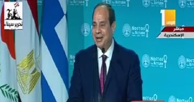 فيديو.. الرئيس السيسى: لا أحب كلمة جاليات وأى شخص له حق المواطنة فى مصر