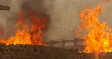 الحماية المدنية بالدقهلية تسيطر على حريق بورشة نجارة بالمنصورة