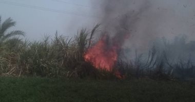 السيطرة على حريق بزراعات القصب بمنطقة الحبيل قبل وصولها للمنازل.. صور