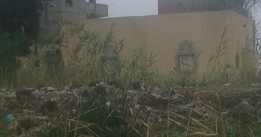 قارئ يطالب الأوقاف بإعادة بناء مسجد عزبة عوض مركز أبو كبير فى الشرقية