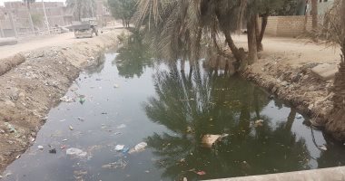 صور.. أهالى قرية النواورة بأسيوط يشتكون من إلقاء مياه الصرف الصحى بترعة سيالة