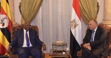 وزير الخارجية: مصر تعمل على نزع فتيل الأزمة بين دول القارة الأفريقية