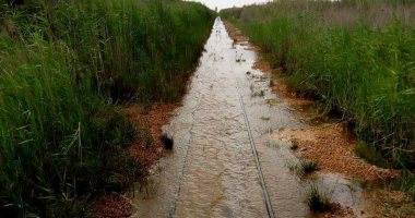 فيديو.. قارئ يحذر من مشكلة المياه المتراكمة على السكة الحديد فى مطروح