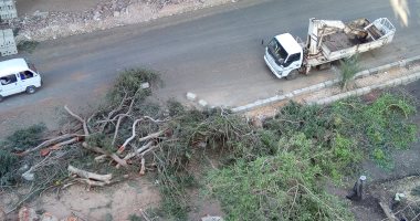 صور.. مذبحة أشجار فى شارع المريوطية فيصل وقارئ يناشد محافظ الجيزة