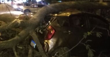 صور.. سقوط شجرة على سيارة ملاكى دون إصابات فى شارع التحرير بالدقى