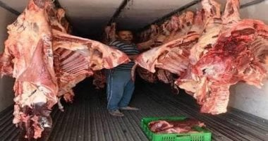 الزراعة: حملات بيطرية مفاجئة بأسواق ومنافذ بيع اللحوم استعدادًا للعيد