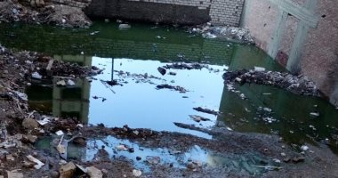 قارئة تشكو  انتشار مياه الصرف الصحى بشارع عمرو بن العاص بفيصل