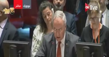 مندوب هولندا بمجلس الأمن: لا يمكن إنكار حق الفلسطينيين فى القدس 