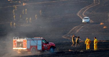 صور.. حريق هائل يلتهم حقل لمحصول القمح على حدود قطاع غزة