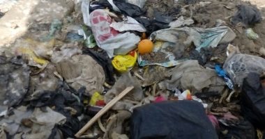 اضبط مخالفة.. أهالى قرية بالجيزة يطالبون بالتدخل لإنقاذهم من القمامة 