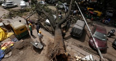 صور.. سقوط أشجار فى الهند بسبب عاصفة ترابية