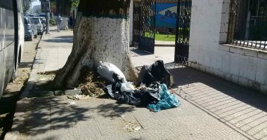 لماذا لا يتحرك محافظ أسوان لحل أزمة القمامة؟.. خبراء: انتشارها يضر السياحة