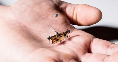 مهندسون أمريكيون يطورون روبوت طائر فى حجم الحشرة