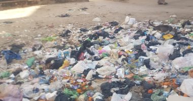 صور.. انتشار القمامة فى شوارع أبو كبير بالشرقية.. وقارئ يطالب بتوفير صناديق