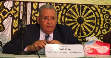 عبد الله النجار: من يشوهون مصر بالخارج لا يملكون ذرة من الأدب والأخلاق