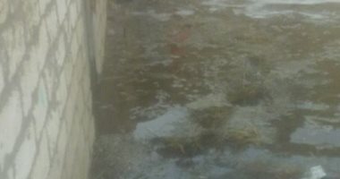 قارئ يشكو غرق منازل قرية مفر تيدا فى كفر الشيخ بمياه الصرف الزراعى