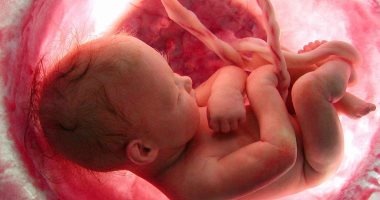 هل المشيمة مسؤولة عن الولادة المبكرة؟.. دراسة عملية تجيب 