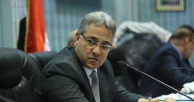 أحمد السجينى: إقرار قانون المحليات بالدور الأخير للبرلمان مستبعد