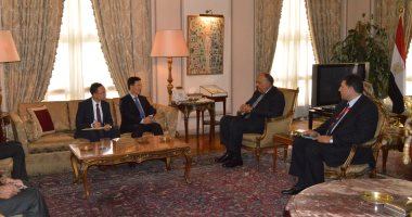 وزير الخارجية يؤكد لمسئول فيتنامى استعداد مصر لتعزيز الاستثمارات المشتركة