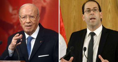 السبسى: الحكومة التونسية نجحت فى السيطرة على الارهاب