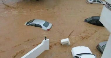 مساعدات كويتية عاجلة لنازحى سقطرى اليمنية بسبب إعصار "مكونو"