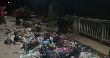 صور.. قارئ يناشد توفير سيارات لجمع القمامة فى قرية ميت عافية بالمنوفية 