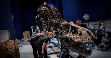 صور.. عرض هيكل ديناصور مكتمل فى متحف بفرنسا عمره 67 مليون سنة