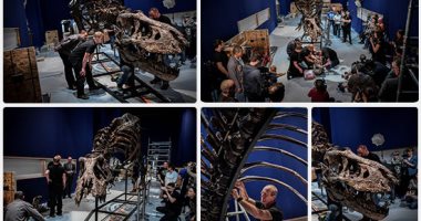 عرض هيكل ديناصور مكتمل فى متحف بفرنسا عمره 67 مليون سنة