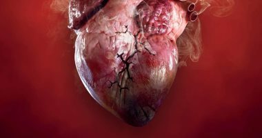 "التدخين وأمراض القلب" موضوع منظمة الصحة فى اليوم العالمي لمكافحة التدخين