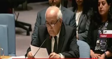 مندوب فلسطين بالأمم المتحدة: تعديل واشنطن محاولة فاشلة ولا يخدع أحدا
