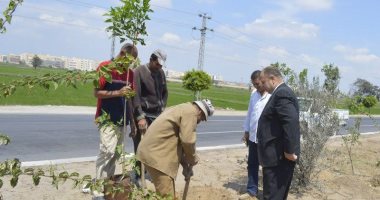 حملة نظافة وزراعة الأشجار برافد الطريق الدولى بكفر الشيخ