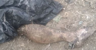 فريق من نيابة القاهرة الجديدة يعاين موقع العثور على جثة نيجيرى بالرحاب