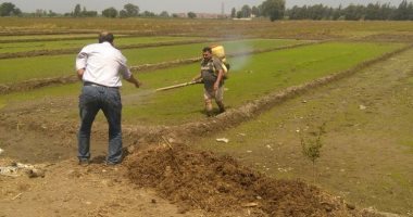 وكيل زراعه الغربية يناقش توزيع المساحات المنزرعه بالأرز مع مديرى الإدارات