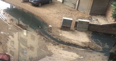 شكوى من انتشار مياه الصرف فى شارع سليم الزقلة بعزبة النخل