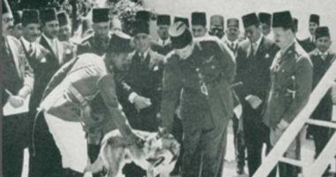 حكايات الأمن والقضاء.. قصة أول "كلب بوليسى" ساهم فى حل 117 قضية