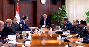 الحكومة: بدء إجراءات تنفيذ تأهيل وتطوير ترام الإسكندرية بـ360 مليون يورو