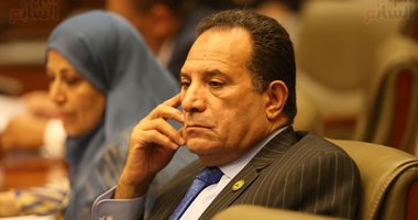برلمانية الشعب الجمهورى: الاقتصاد المصرى قادر على تحمل الأزمات بشهادة صندوق النقد