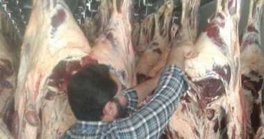 وضع برنامج لمتابعة السلع واللحوم بمنافذ الشركة المصرية لتجارة الجملة بسوهاج