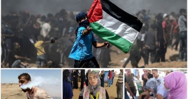 5 ملاحم فلسطينية فى صور بمليونية القدس.. مسعفة تسرع لإنقاذ مصاب فتكتشف أنه زوجها.. والدة رزان النجار تواصل مسيرتها.. وإسقاط طائرة تصوير إسرائيلية بطائرة ورقية.. مقاتل بساق واحدة وإصابة شاب بقنبلة فى فمه