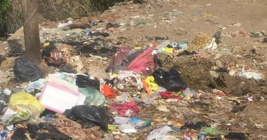 قارئ يشكو من انتشار القمامة فى شوراع قرية شنشور بالمنوفية