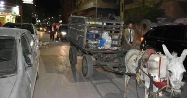 ضبط نباش قمامة تسبب فى إعاقة عملية النظافة بشوارع الشرقية