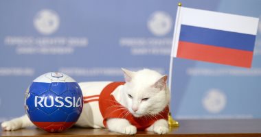 صور.. القط "أخيل" يتوقع فوز روسيا فى افتتاح كأس العالم