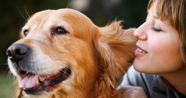 دراسة مجرية: الكلاب تساعد فى بحث أسباب إصابة البشر بالسمنة مستقبلا
