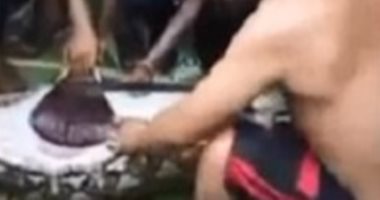 ثعبان عملاق يبتلع امرأة فى إندونيسيا