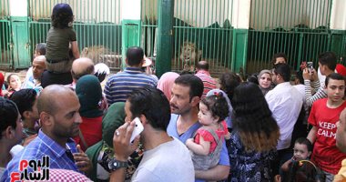 إقبال كبير من المواطنين على حديقة حيوان الجيزة